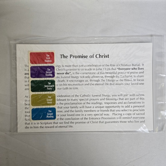 The Promise of Christ New American Bible Revised New Testament - Picture 7 of 10